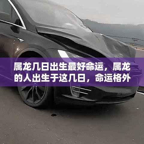 属龙最佳出生日期揭秘，这几日出生的人命运格外优越！