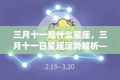 三月十一日双鱼座运势解析，揭秘风云变幻的星座特性与运势展望