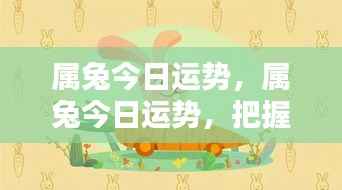 属兔今日运势揭秘，把握机遇，勇迎挑战