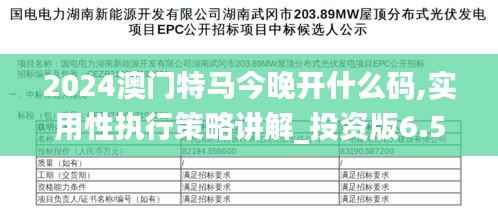 2024澳门特马今晚开什么码,实用性执行策略讲解_投资版6.504