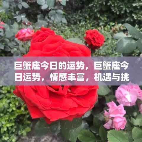 小鸟伊人 第5页