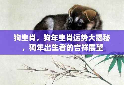 狗生肖运势揭秘，狗年出生者的吉祥展望