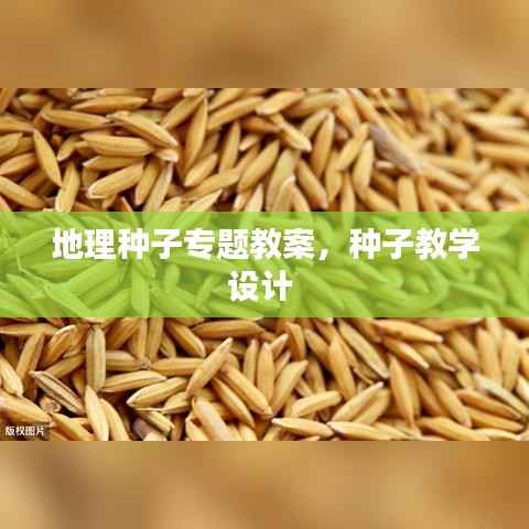 地理种子专题教案，种子教学设计 