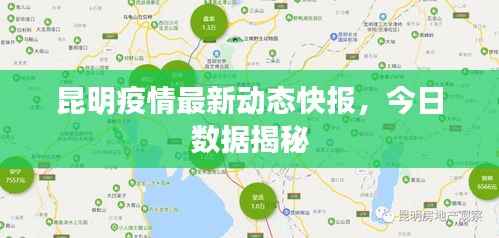 下马看花 第5页