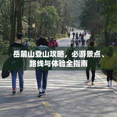 虎视眈眈 第5页