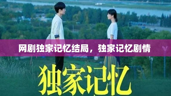 网剧独家记忆结局，独家记忆剧情 