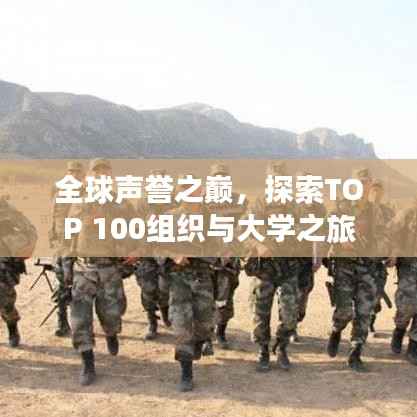 全球声誉之巅，探索TOP 100组织与大学之旅