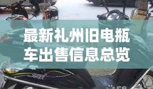 最新礼州旧电瓶车出售信息总览